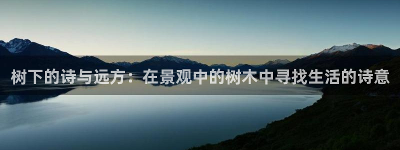 新宝gg 黑：树下的诗与远方：在景观中的树木中寻找生活的诗意