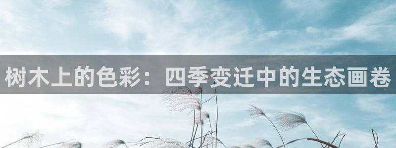 新宝gg干嘛：树木上的色彩：四季变迁中的生态画卷