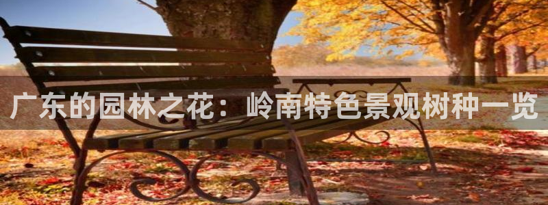 新宝gg套路