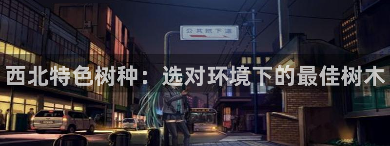 新宝GG娱乐-上皇巢网