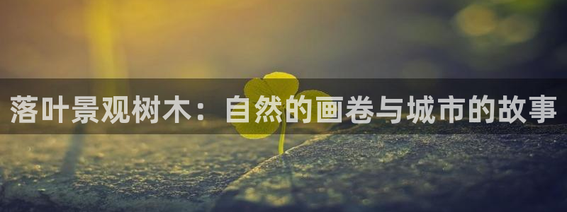 新宝gg app
