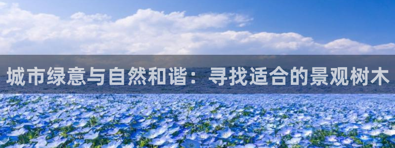 新宝gg如何代理：城市绿意与自然和谐：寻找适合的景观树木
