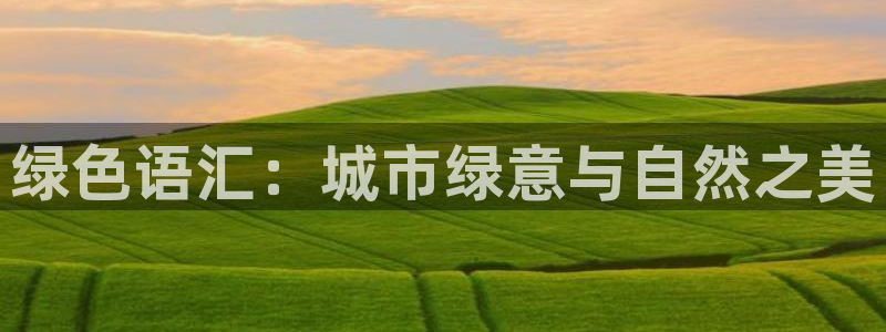 新宝gg注