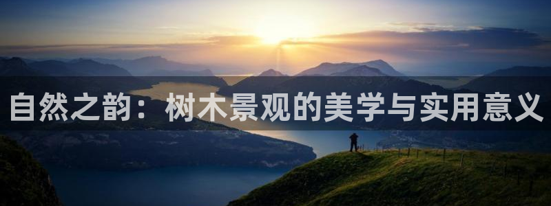 新宝gg创造奇迹登陆