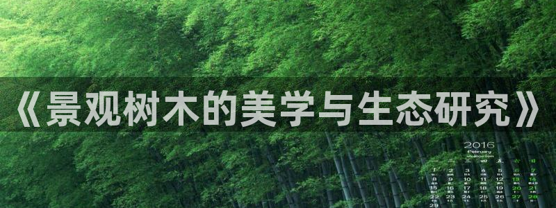 新浪新闻新宝gg