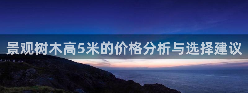 新宝gg刷流水