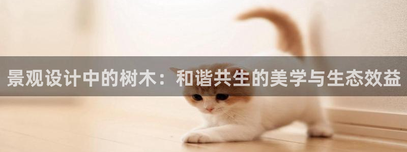 新宝gg下载官网下载
