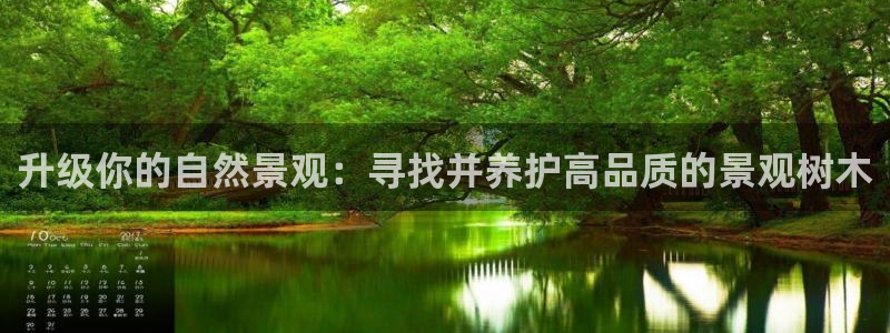 新宝gg--创