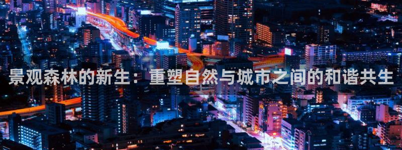 新宝gg怎么样