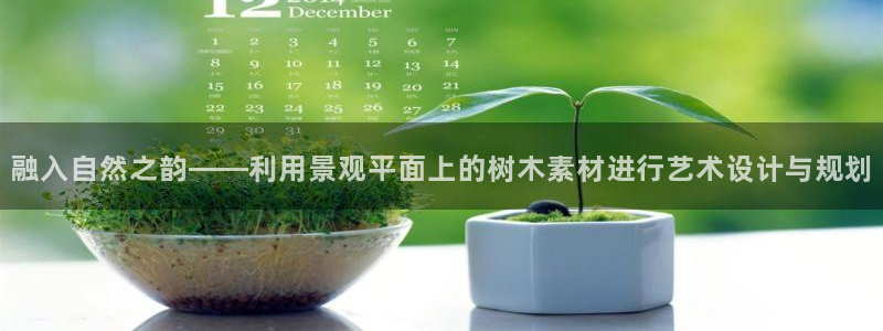 新宝gg ios下载