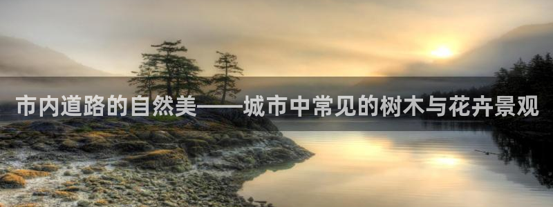 新宝gg 平台怎么样