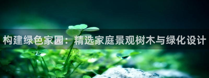 新宝gg合法吗：构建绿色家园：精选家庭景观树木与绿化设计