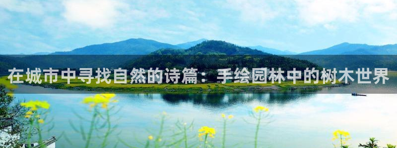 新宝gg合作