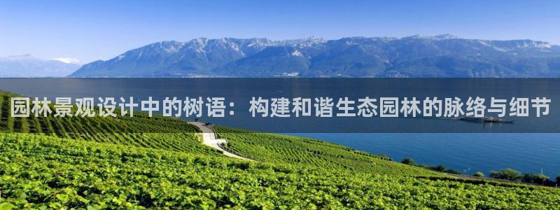 新宝gg是新宝几