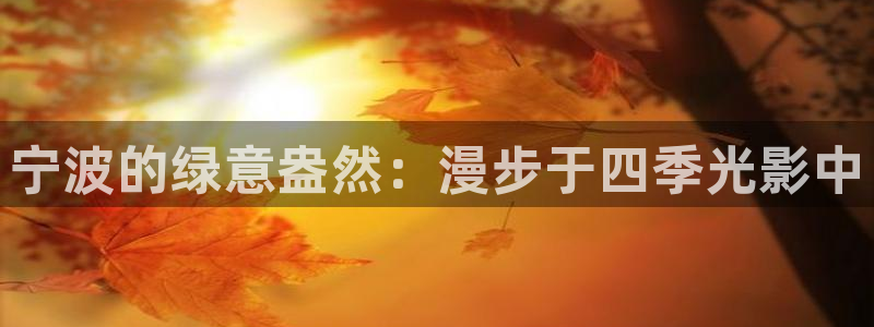 新宝gg开奖结果