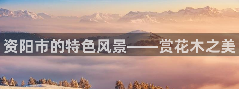 新宝GG朔78778：资阳市的特色风景——赏花木之美