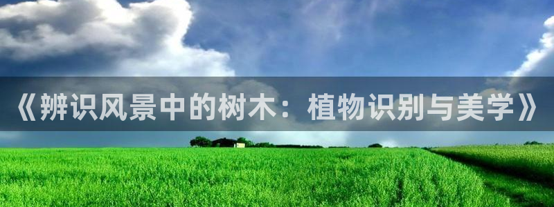 新宝GG最高返点多少