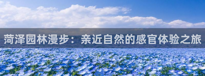 新宝GG寥78778