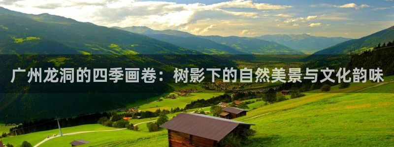 新宝gg盈亏
