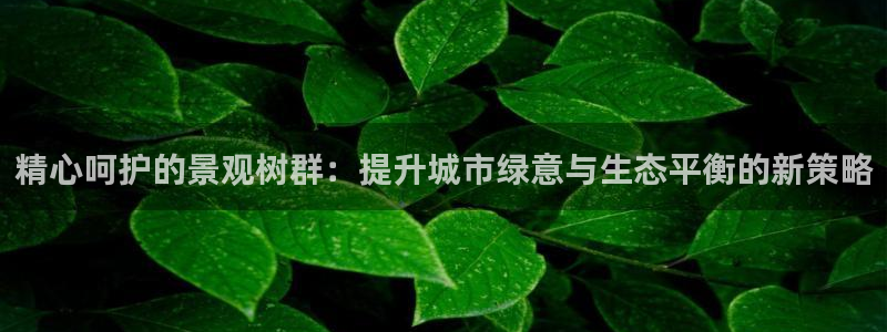 新宝gg指定平台