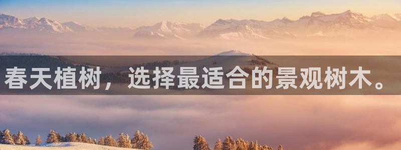 新宝gg代：春天植树，选择最适合的景观树木。