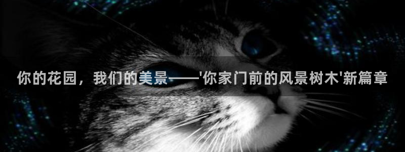 新宝gg手机助手