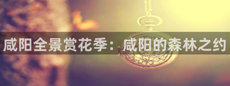 新宝gg — 创造!