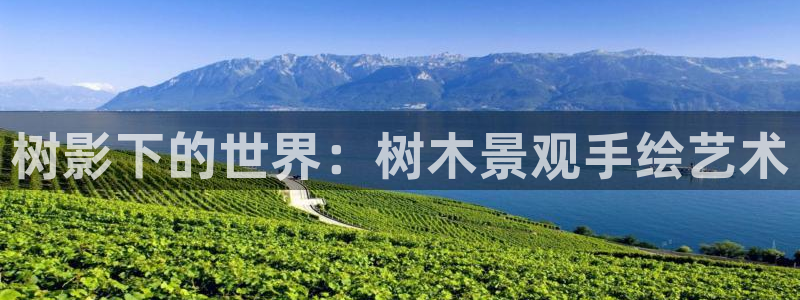 新宝gg建立团队