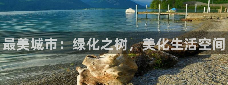 新宝GG苹果版