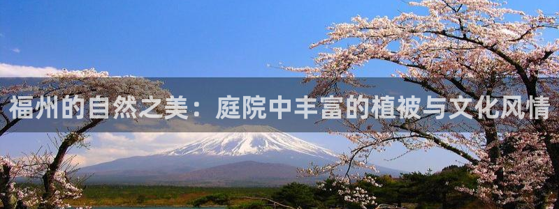 新宝六与新宝gg