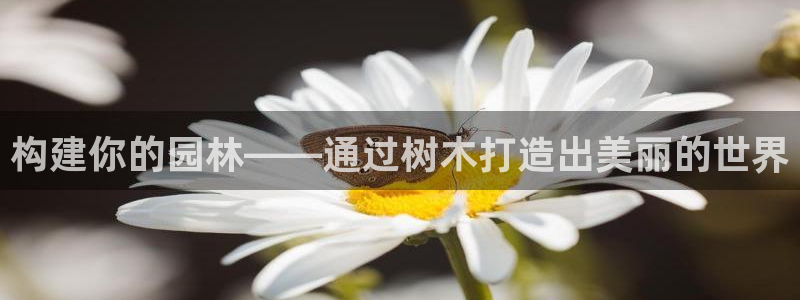 旧版新宝GG：构建你的园林——通过树木打造出美丽的世界