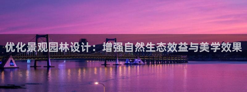 收新宝gg