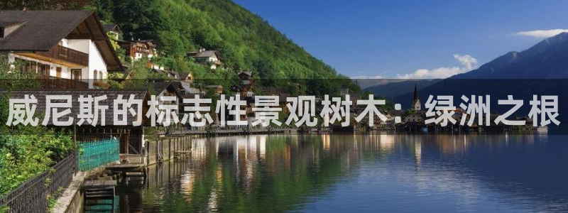 新宝gg娱乐客户端下载