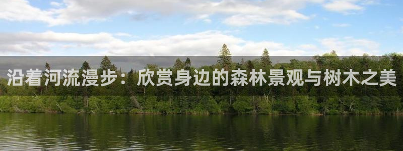 新宝gg怎么开户