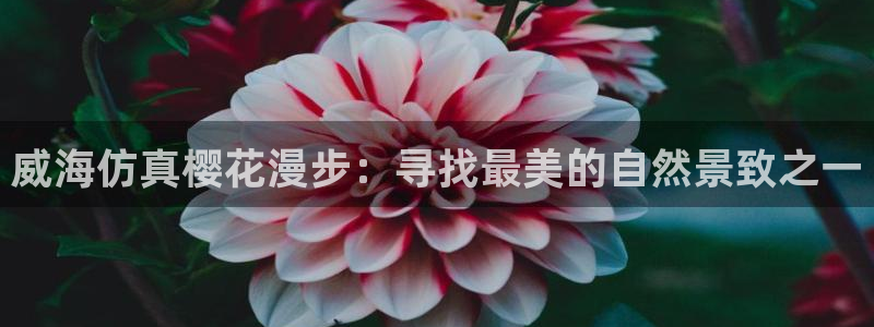 新宝gg套利