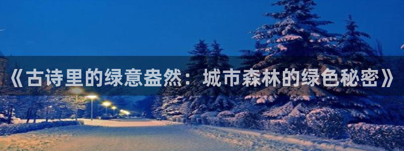 新宝gg.