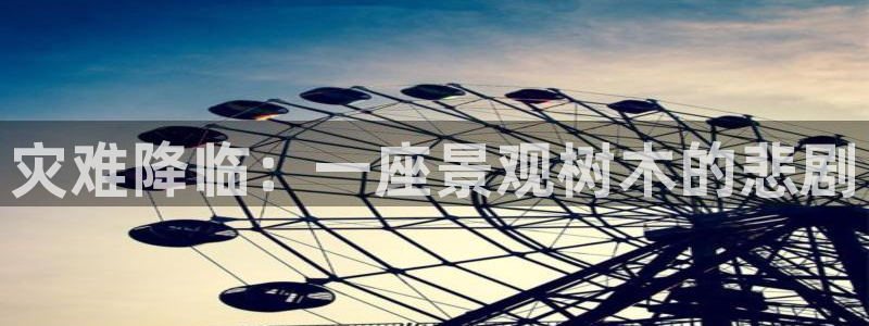 新宝gg专线