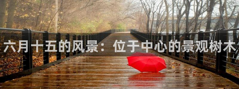 新宝gg为什么没人管