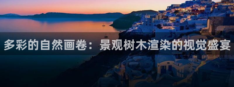 新宝GG之家
