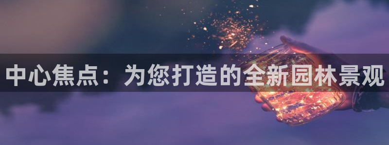 新宝 gg 下载