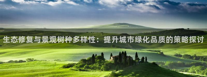 广东新宝电器gg