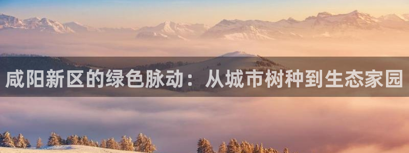 新宝gg直属上级