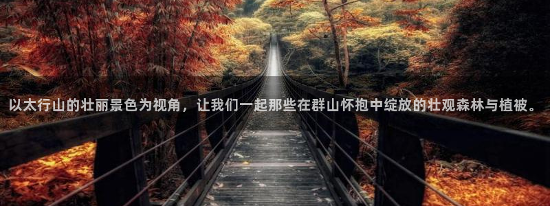 新宝gg创造奇迹平台
