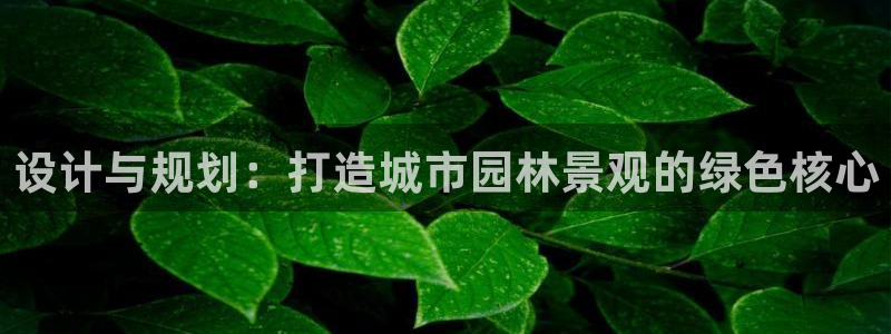 新宝gg棋牌