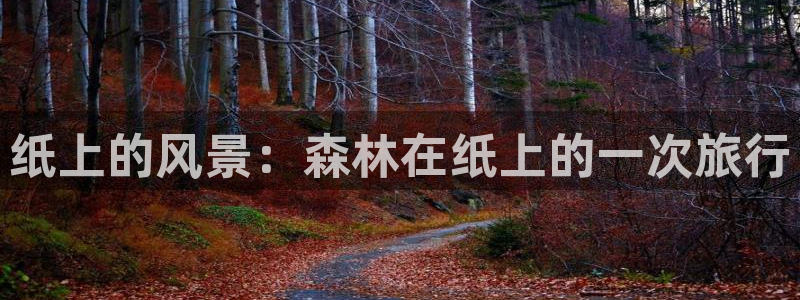 广东新宝电器gg