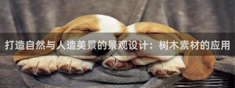 新宝皇冠gg