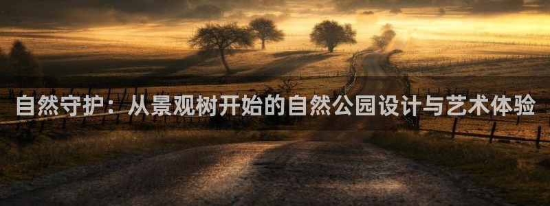新宝gg创造奇迹下载