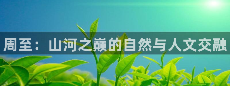 新宝gg 内部 8