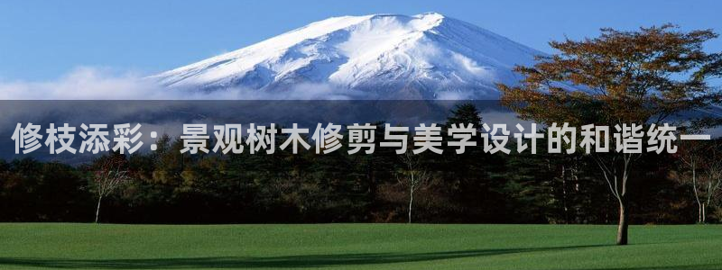 新宝gg总代理