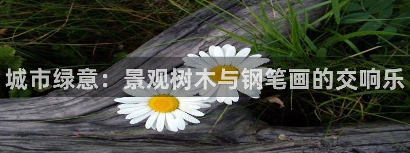 新宝gg开户